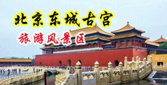 3D大鸡巴操小穴中国北京-东城古宫旅游风景区